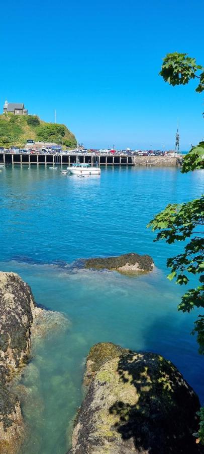 The Brookhouse. Cheerful Tiny House With Seaview. Villa Ilfracombe Exterior photo